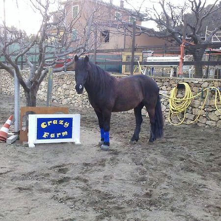 Residence Villa Alda ピエトラ・リーグレ エクステリア 写真